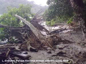 PNManuel Antonio_Quepos