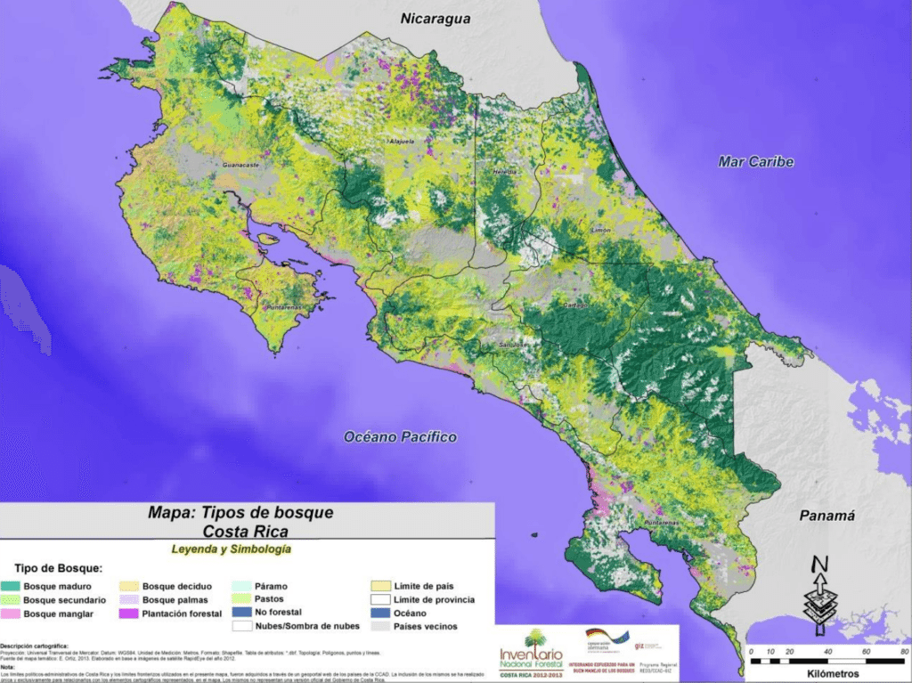 Tipos-de-bosques-en-Costa-Rica-1024x767
